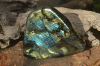 Polished Extra Large Labradorite Standing Free Form  x 1 From Tulear, Madagascar