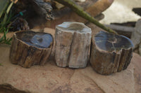 Polished Petrified Wood Branch Pieces  x 3 From Gokwe, Zimbabwe - Toprock Gemstones and Minerals 