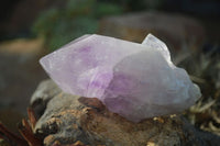 Natural Single Jacaranda Amethyst Crystals x 12 From Mumbwe, Zambia