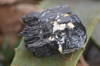 Natural Schorl Black Tourmaline Specimens With Hyalite On Some  x 6 From Erongo, Namibia - Toprock Gemstones and Minerals 