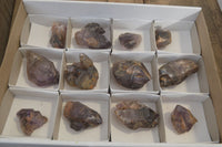 Natural Royal Zulu Window Amethyst Crystals x 12 From, South Africa