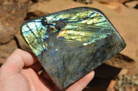 Polished Labradorite Standing Free Forms With Intense Blue & Gold Flash x 2 From Sakoany, Madagascar - TopRock