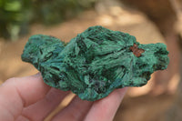 Natural Chatoyant Silky Malachite Specimens  x 5 From Kasompe, Congo - TopRock