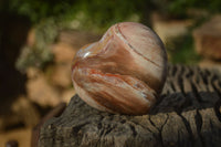 Polished Petrified Wood Hearts x 6 From Mahajanga, Madagascar