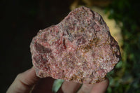 Natural Rough Rhodonite Specimens x 3 From Zimbabwe