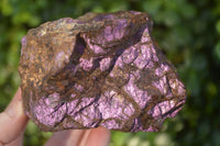 Natural Metallic Purpurite Cobbed Specimens  x 2 From Erongo, Namibia - Toprock Gemstones and Minerals 