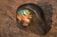 Polished Labradorite Standing Free Forms  x 6 From Tulear, Madagascar