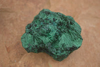 Natural Chatoyant Silky Malachite Specimens  x 5 From Kasompe, Congo - TopRock