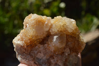 Natural Mixed Colour and Habit Quartz Clusters x 24 From Southern Africa - TopRock