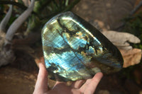 Polished Extra Large Labradorite Standing Free Form  x 1 From Tulear, Madagascar