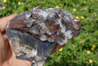 Natural Red Phantom Chlorite Quartz, Blue Lace Agate, Silky Malachite, Amethyst Phantom Quartz, Mtorolite & Smokey Cascading Quartz Specimens x 6 From Southern Africa - TopRock