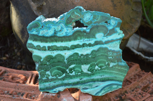 Polished Banded Malachite Slices With Chrysocolla Edging x 6 From Congo - TopRock