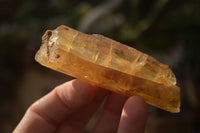 Natural Honey Aragonite Etched & Cobbed Pieces  x 35 From Namibia