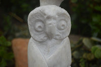 Polished Sparkling White Marble Owl Sculpture  x 1 From Zimbabwe - TopRock