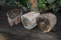 Polished Petrified Wood Branch Pieces  x 3 From Gokwe, Zimbabwe - Toprock Gemstones and Minerals 