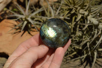 Polished Flashy Labradorite Palm Stones  x 20 From Tulear, Madagascar - TopRock