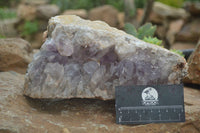 Natural Jacaranda Amethyst Cluster x 1 From Mumbwa, Zambia - TopRock