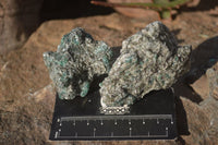 Natural Rare Emerald Mica In Matrix Cobbed Specimens x 12 From Mutoko, Zimbabwe