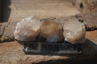 Natural Cascading White Phantom Smokey Quartz Crystals  x 35 From Luena, Congo - Toprock Gemstones and Minerals 