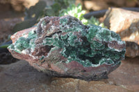 Natural Exquisite Bright Green Drusy Quartz Coated Malachite On Red Copper Dolomite Specimen  x 1 From Likasi, Congo - Toprock Gemstones and Minerals 