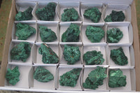 Natural Chatoyant Silky Malachite Specimens  x 12 From Kasompe, Congo - Toprock Gemstones and Minerals 