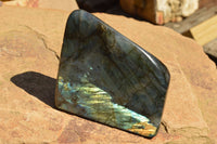 Polished Labradorite Standing Free Forms With Intense Blue & Gold Flash x 2 From Sakoany, Madagascar - TopRock