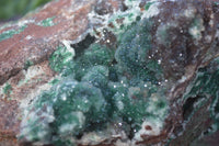 Natural Exquisite Bright Green Drusy Quartz Coated Malachite On Red Copper Dolomite Specimen  x 1 From Likasi, Congo - Toprock Gemstones and Minerals 