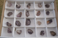 Natural Single Smokey Amethyst Crystals  x 20 From Chiredzi, Zimbabwe - Toprock Gemstones and Minerals 