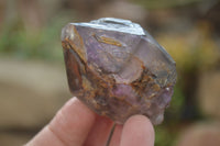 Natural Royal Zulu Window Amethyst Crystals x 12 From, South Africa