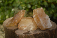 Natural Honey Aragonite Etched & Cobbed Pieces  x 35 From Namibia