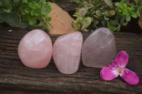 Polished Gemmy Pink Rose Quartz Standing Free Forms  x 3 From Ambatondrazaka, Madagascar - TopRock