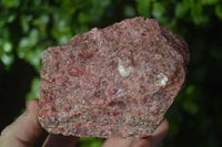 Natural Rough Rhodonite Specimens x 3 From Zimbabwe