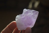 Natural Jacaranda Amethyst Crystals x 12 From Mumbwa, Zambia