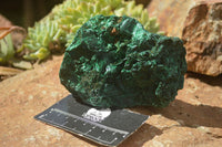 Natural Chatoyant Silky Malachite Specimens  x 5 From Kasompe, Congo - TopRock