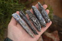 Natural Single Blue Kyanite Crystals  x 13 From Karoi, Zimbabwe