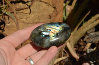 Polished Flashy Labradorite Palm Stones  x 20 From Tulear, Madagascar - TopRock