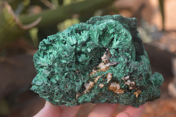 Natural Chatoyant Silky Malachite Specimens  x 3 From Kasompe, Congo