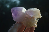 Natural Jacaranda Amethyst Specimens  x 6 From Mumbwa, Zambia - Toprock Gemstones and Minerals 