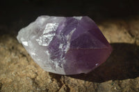 Natural Single Jacaranda Amethyst Crystals x 12 From Mumbwe, Zambia