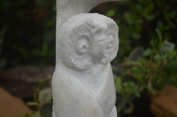 Polished Sparkling White Marble Owl Sculpture  x 1 From Zimbabwe - TopRock