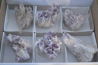 Natural Sugar Amethyst Clusters  x 6 From Solwezi, Zambia - Toprock Gemstones and Minerals 