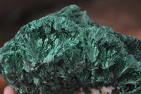 Natural Chatoyant Silky Malachite Specimens  x 3 From Kasompe, Congo