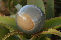 Polished  Polychrome / Picasso Jasper Spheres  x 2 From Mahajanga, Madagascar