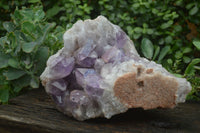 Natural Jacaranda Amethyst Cluster x 1 From Mumbwa, Zambia - TopRock