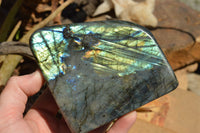 Polished Labradorite Standing Free Forms With Intense Blue & Gold Flash x 2 From Sakoany, Madagascar - TopRock