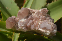 Natural Red Hematoid Quartz Crystal Clusters  x 12 From Karoi, Zimbabwe - TopRock