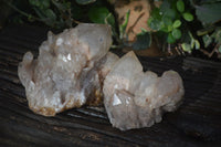 Natural Cascading White Phantom Smokey Quartz Clusters x 2 From Luena, Congo