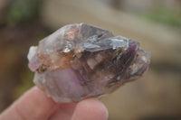 Natural Royal Zulu Window Amethyst Crystals x 12 From, South Africa