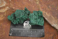 Natural Chatoyant Silky Malachite Specimens  x 12 From Kasompe, Congo - Toprock Gemstones and Minerals 