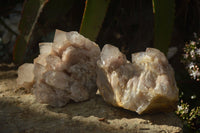 Natural Cascading Smokey Quartz Clusters x 2 From Luena, Congo